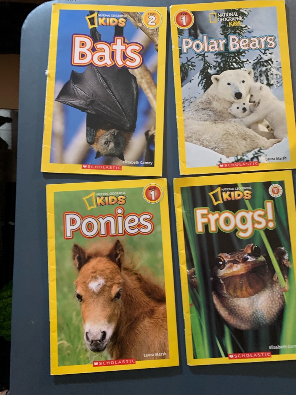 Bundle Of Kids National Geographic Yellow Animal 4-Book Set
